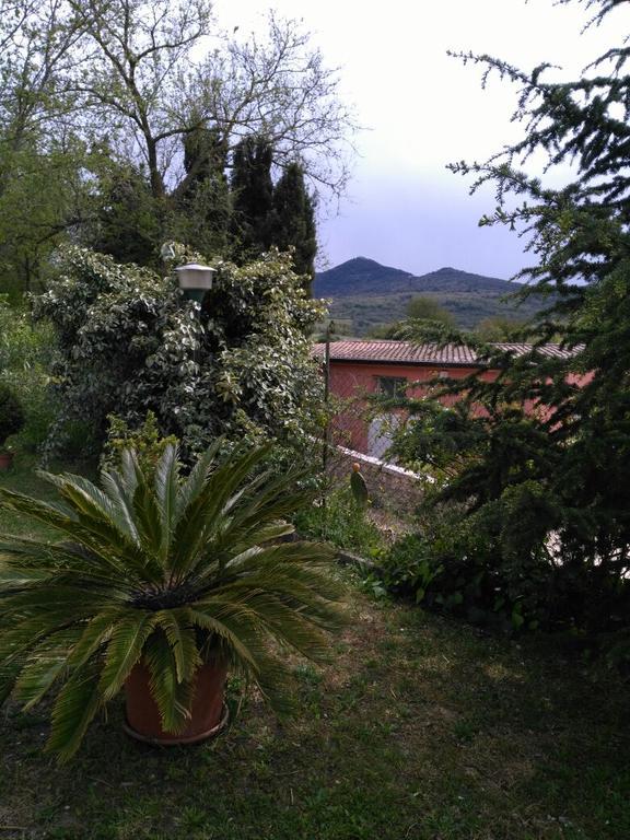 Agriturismo Usurtala Orani Dış mekan fotoğraf
